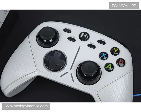 亚星代理登录入口安卓版最新版本全面更新，畅享无缝游戏体验