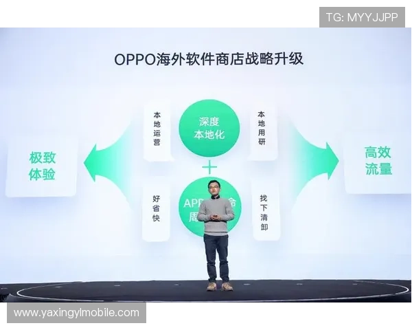 深入了解亚星平台的开发工具与资源，助力开发者创新
