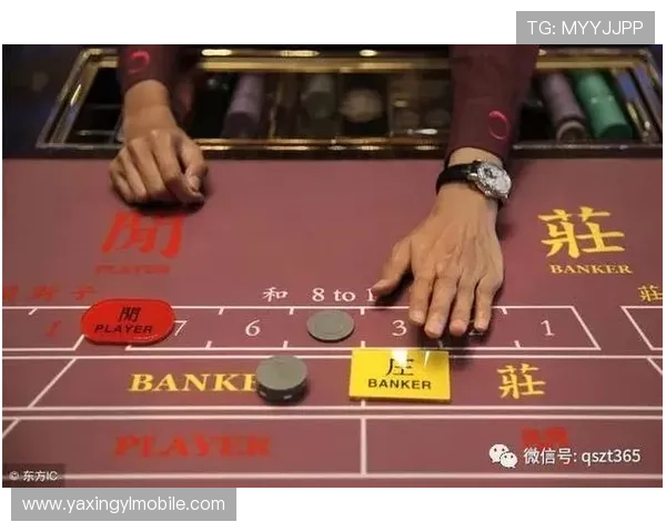 百家乐技巧与概率的关系详解，破解游戏中的隐藏规律与获胜秘籍