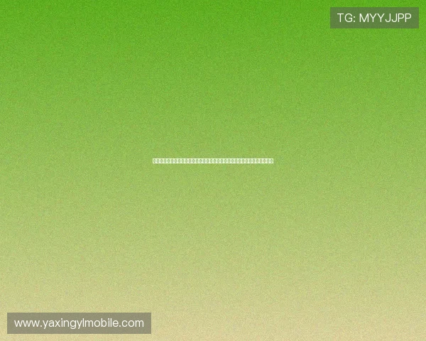 亚星娱乐能不能玩：详细分析平台的安全性与可靠性，帮助用户做出明智选择