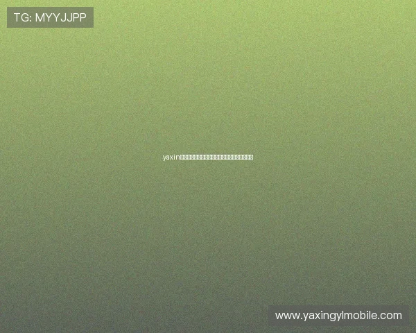 yaxin足球运动员最新动态及其在世界杯中的表现分析