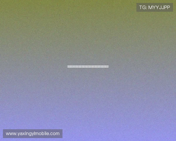 亚星平台为用户打造权威的世界杯球队阵容和球员数据深度解析